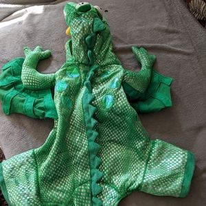 Dragon Costume for Small Dog